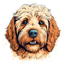 mini-golden-doodles.com